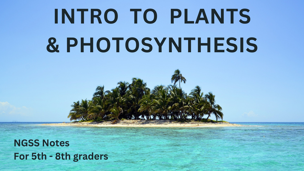 Intro to Plants and Photosynthesis. Video sheet, Google Forms, MS Forms, Blackboard, Canvas, Moodle & more (V3).
