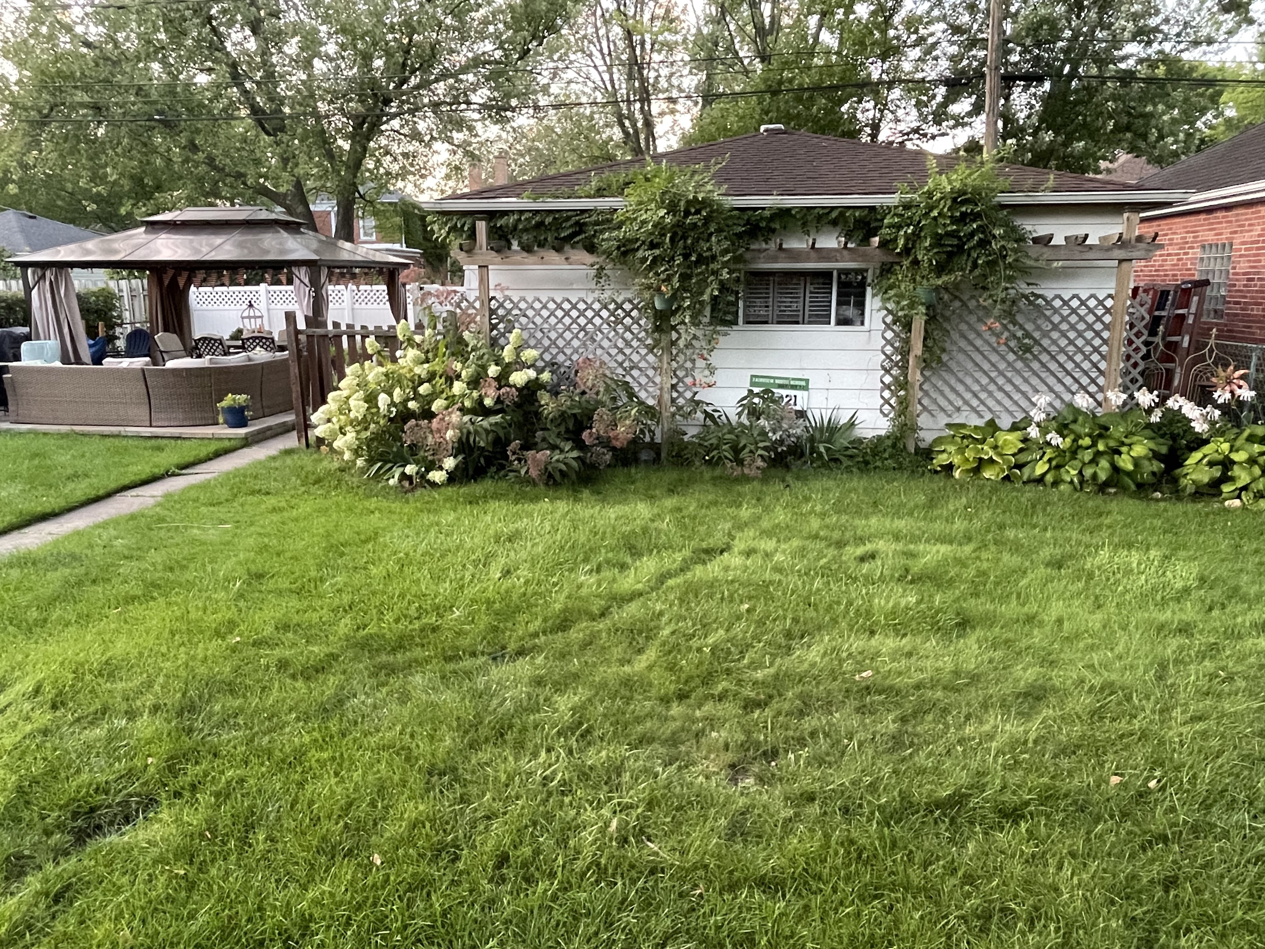 A photo of Tamara's backyard.
