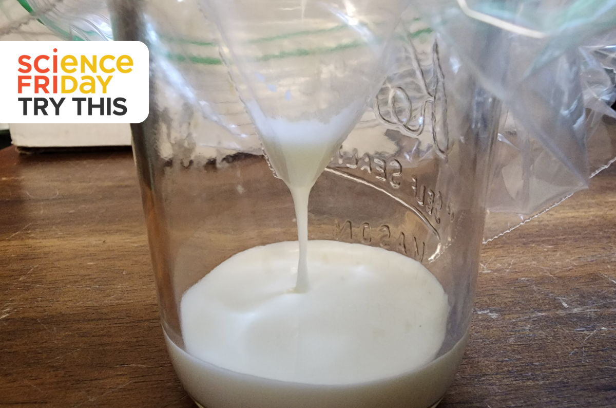Experiment With Fluid Physics In Your Kitchen