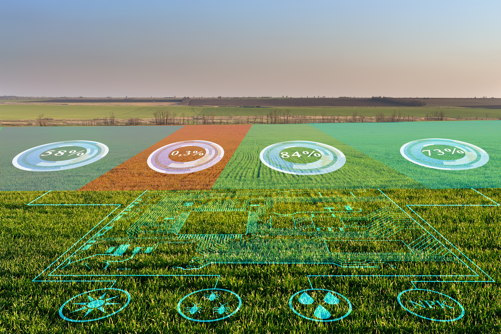 From Farm to Table and Beyond: The Hidden Systems at Work in Food Production