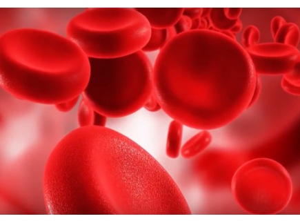 SEPSIS: A PUBLIC HEALTH EMERGENCY