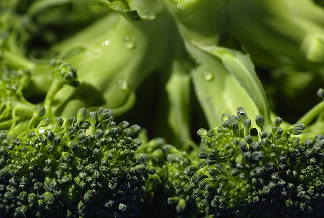 Nutrition Education