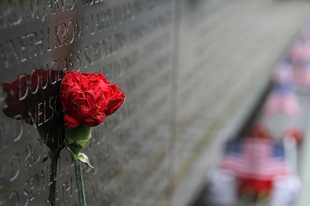 Maya Lin: Architect of Memory
